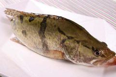 喜歡吃魚的人真的聰明嗎？經(jīng)常吃魚有很多好處！[多圖]