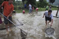 發(fā)洪水怎么抓魚(yú)？發(fā)洪水時(shí)的抓魚(yú)方法[多圖]