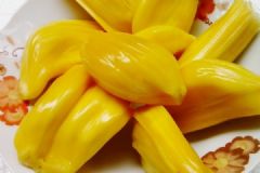 菠蘿蜜不熟怎么吃？吃菠蘿蜜有什么禁忌注意？[多圖]