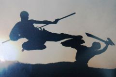 世界十大武術(shù)排行榜是什么？來自世界的超強武術(shù)[多圖]