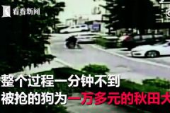 男子為吃狗肉，當(dāng)街飛車(chē)搶走萬(wàn)元名犬[多圖]