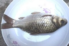 鯽魚的營(yíng)養(yǎng)功效有哪些？怎樣吃鯽魚對(duì)健康最有利？[多圖]