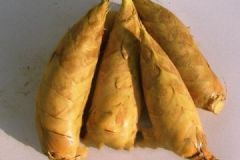 冬筍的功效作用有哪些？這樣吃冬筍對健康最有利[多圖]