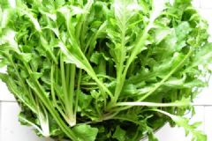有哪些常見的野菜？常吃野菜有什么好處？[多圖]