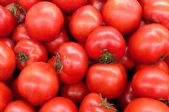 西紅柿有哪些養(yǎng)生功效？西紅柿可以防治哪些病癥？[圖]
