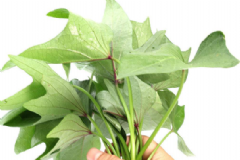吃紅薯葉的好處有哪些？紅薯具有的營(yíng)養(yǎng)價(jià)值有哪些？[圖]