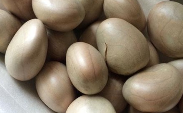 菠蘿蜜的核煲湯的做法？菠蘿蜜的核煲湯怎么做？(1)