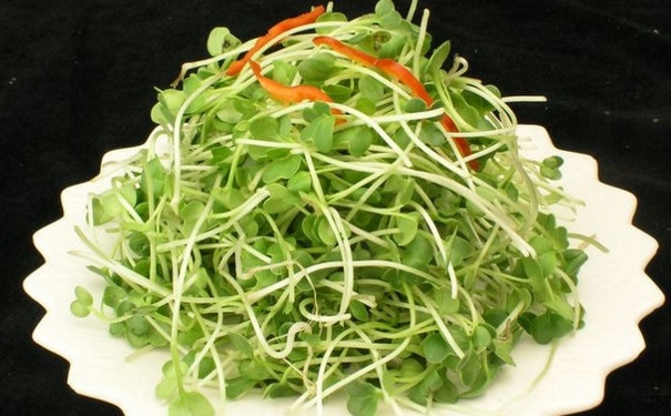 開胃涼菜要怎么做？怎樣做的涼菜好吃又營養(yǎng)？(1)