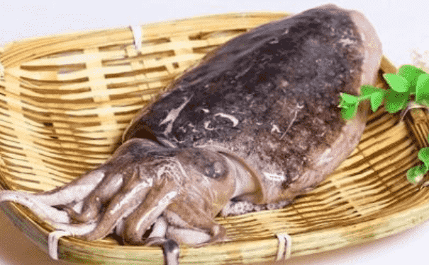 補(bǔ)骨脂墨魚(yú)湯怎么做？墨魚(yú)骨燉豬皮怎么做？(1)