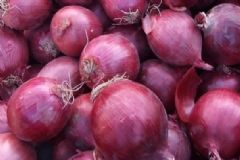 抗骨質疏松的蔬菜有哪些？哪些蔬菜能預防骨質疏松？[圖]