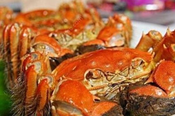 大閘蟹怎么洗干凈？大閘蟹的清洗方法介紹(1)