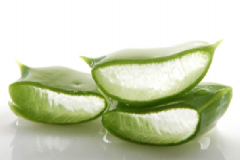 蘆薈的食用方法是什么？蘆薈具有哪些功效價(jià)值？[圖]