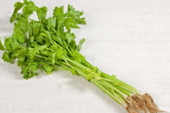 芹菜好吃的做法有哪些？吃芹菜對(duì)身體有哪些好處？[圖]