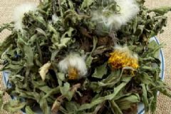 蒲公英發(fā)黃還能喝嗎？發(fā)霉還能泡茶嗎？[圖]