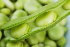 這些蔬菜很常見 食用不當(dāng)可能會中毒！[圖]