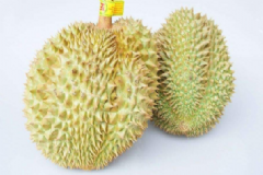 吃什么能促進排污血？排污血的食物有哪些？[圖]