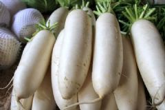 白蘿卜的食用注意事項(xiàng)有哪些？哪些人不宜吃白蘿卜？[多圖]