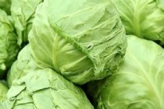 圓白菜的營(yíng)養(yǎng)功效有哪些？吃圓白菜有哪些益處？[圖]