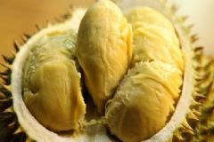 氣味大的養(yǎng)生食物有哪些？哪些難聞食物養(yǎng)生效果好？[圖]