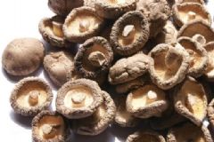 老人吃菌菇能預(yù)防心血管疾病嗎？保護(hù)血管的菌菇有哪些？[圖]
