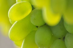 哪些飲食搭配容易導(dǎo)致腹瀉？有哪些導(dǎo)致腹瀉的飲食？[圖]