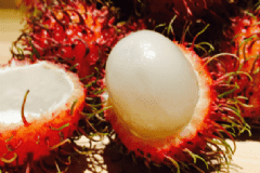 常見的紅毛丹的功效有哪些？常見的紅毛丹有什么功效？[圖]