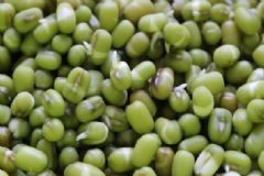 冬天吃綠豆健康嗎？冬天吃綠豆好不好？[多圖]