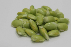 毛豆的好處有哪些？經常吃毛豆有什么好處？[圖]