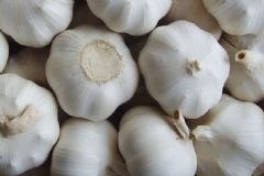 適合春季的養(yǎng)生食物有哪些？春天吃什么食物養(yǎng)生效果好？[圖]