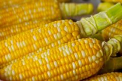 產(chǎn)后可以吃玉米嗎？吃玉米有什么禁忌要注意？[圖]