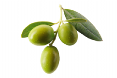 什么食物的補(bǔ)腎效果強(qiáng)？哪些食物的補(bǔ)腎效果好？[圖]