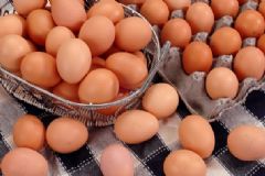 日常有哪些補(bǔ)腦的食物？日常補(bǔ)腦適合吃什么食物？[圖]