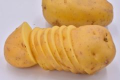 有哪些容易中毒的常見(jiàn)食物？吃什么不當(dāng)容易中毒？[圖]