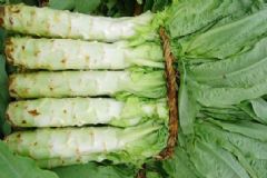 食用萵筍的好處是什么？萵筍怎么吃最美味？[圖]