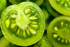 哪些常見食物吃了會中毒？日常飲食中毒的食物有哪些？[圖]