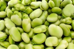 吃蠶豆的好處有哪些？蠶豆有哪些功效作用？[圖]