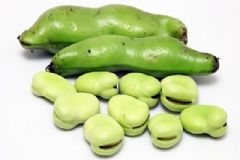 蠶豆有哪些營養(yǎng)功效？吃蠶豆對健康有什么好處？[圖]