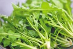 薺菜的營(yíng)養(yǎng)功效有哪些？薺菜有哪些吃法？[圖]