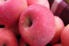 女人吃什么能保養(yǎng)卵巢？保養(yǎng)女性卵巢的食物有哪些？[圖]