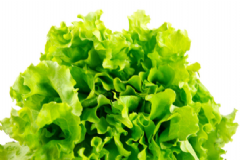 常吃蔬菜對(duì)身體有哪些好處？有利于控制的血糖蔬菜有哪些？[圖]