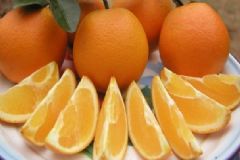 排毒潤燥的食物有哪些？吃什么食物排毒潤燥效果好？[圖]