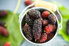 吃桑葚對身體有哪些好處？桑葚有哪些食用禁忌？[圖]