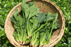 菠菜有哪些食療功效？上湯菠菜怎么做？[圖]