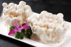 白玉菇的營養(yǎng)價值有哪些？如何健康食用白玉菇？[圖]