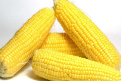 吃什么可以預防近視眼？保護眼睛吃哪些食物好？[圖]
