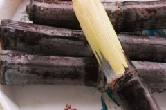 甘蔗煮水的功效及作用有哪些？喝甘蔗水有什么好處？[圖]