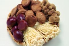常見菌類的保健功效有哪些？吃菌類食物的好處有哪些？[圖]