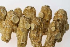 西洋參的毒副作用主要有哪些？身體陰虛火旺應該怎樣調節(jié)？[圖]