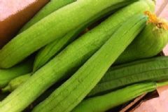 吃絲瓜能防治哪些疾病？絲瓜有哪些食療方法？[圖]