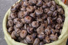 荸薺的功效作用是什么？荸薺有哪些養(yǎng)生吃法？[圖]